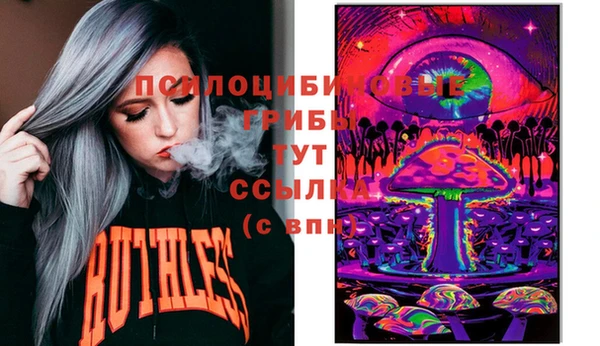 крисы Армянск