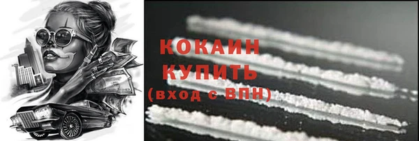 крисы Армянск