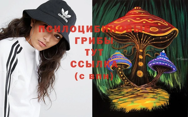 МДПВ Аркадак