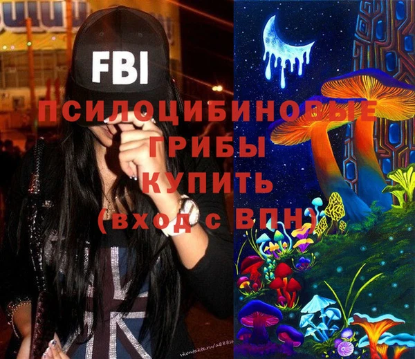 спиды Арсеньев